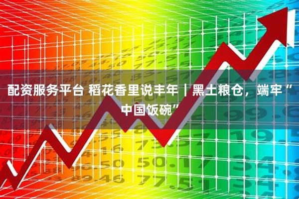配资服务平台 稻花香里说丰年｜黑土粮仓，端牢“中国饭碗”
